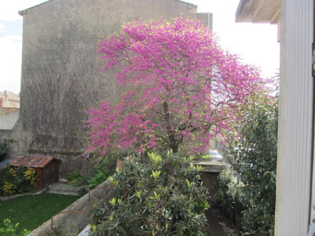 Aude Cite-City การ์กาซอน ภายนอก รูปภาพ