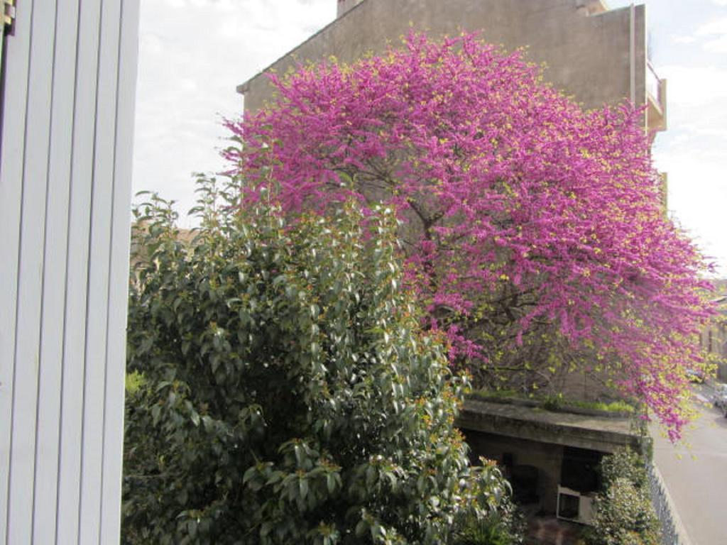 Aude Cite-City การ์กาซอน ภายนอก รูปภาพ